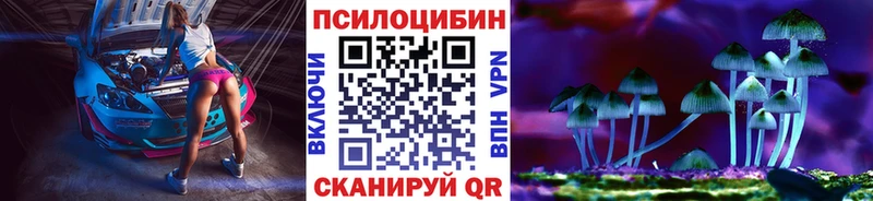 Псилоцибиновые грибы Psilocybine cubensis  Темников 